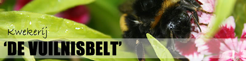 Kwekerij de Vuilnisbelt